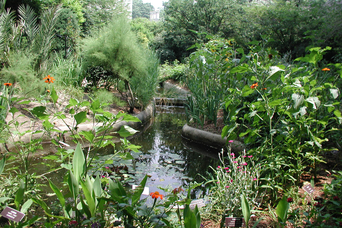 Biblical botanical garden with a small stream surrounded by lush greenery, flowering plants, and trees.