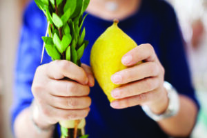 Hands hold a lulav and etrog